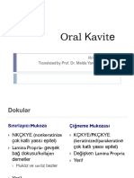 OralCavity (Translated by Melda Yardimoglu) 21 Eylül 2022