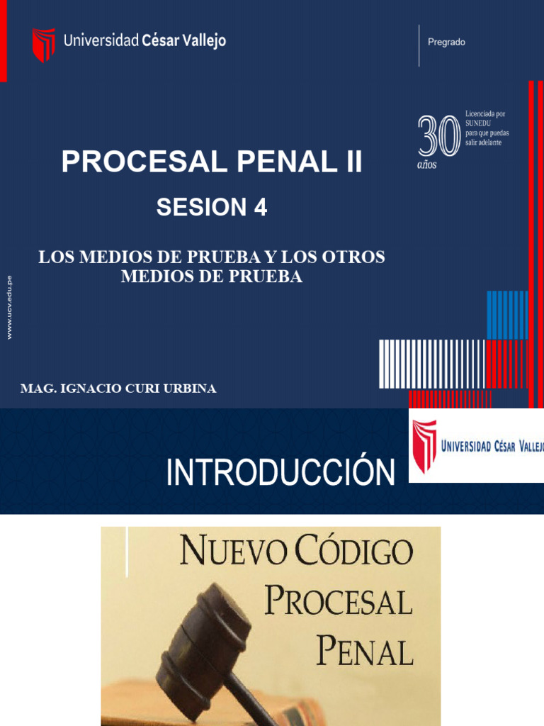 Sesión 4 - Derecho Procesal Penal II | PDF | Evidencia (ley) | Ley procesal