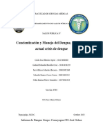 Dengue Marco Teorico Grupo Comayagua - CIS Jose Maria Ochoa