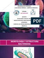 Morfologia Bacteriana Bermudez