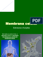 Membrana Celular