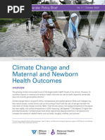 Climate Change and Maternal and Newborn Health Outcomes