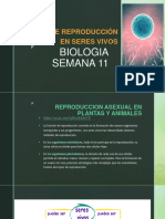 Ficha Semana 11 Biologia