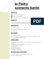 CV João Santin