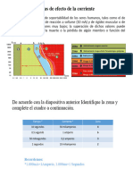 Actividad