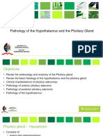 Hypothalamus and The Pituitary Lecture