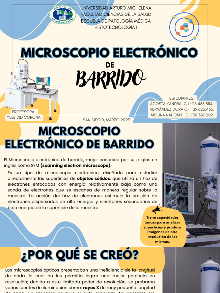 Microscopio Electrónico De Barrido Pdf Microscópio Electrónico