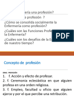 Enfermeria Profesión PDF