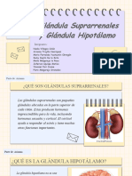 Copia de Educational Workshop - Learning Situation by Slidesgo (1) (M)