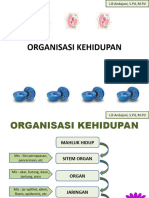 Organisasi Kehidupan