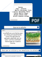 Proyecto de La Alfalfa