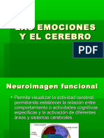 Las emociones y el cerebro