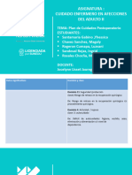 annotated-PLAN DE CUIDADOS - Grupo Teoria