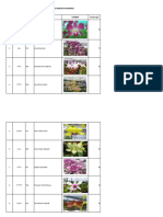List Bibit 1.5" Dendrobium Peruntukan Juli 2023 Kebun Kanoman