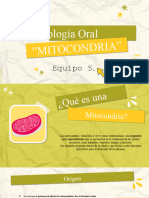 MITOCONDRIA