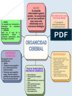 Organizador Visual - Teoria