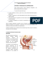 Fisiologia - y - Anatomia - de - La - Reproducion 3