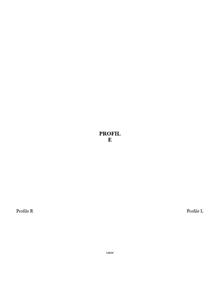 Template Project | PDF