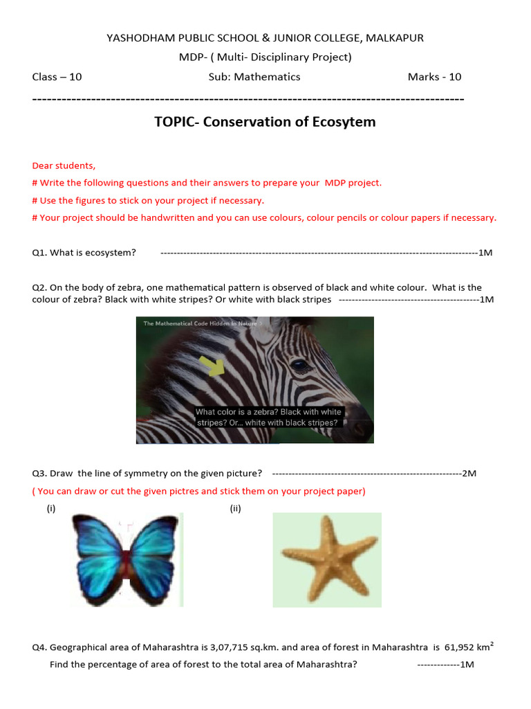 MDP Project on Ecosystem in Maths | PDF