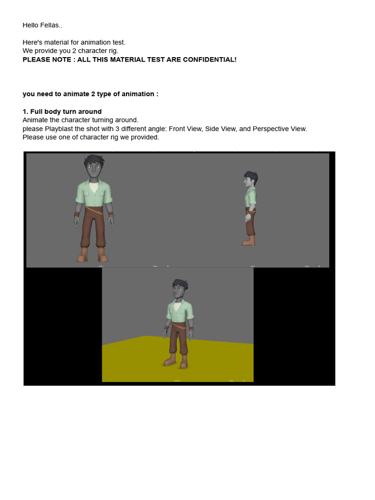 Animation Test Instructions and Guidelines | PDF