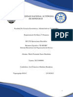 Resumen Ejecutivo Sobre El SENDI María Fernanda Suazo 20211000001 Operaciones Bursátiles