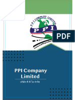 PPI Paint