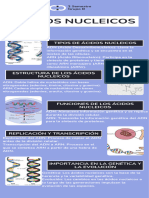 Infografía Delincuencia Seguridad Fotográfico Azul - 20230910 - 152817 - 0000