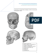 Actv Estudo 2 - Ósos Da Cara