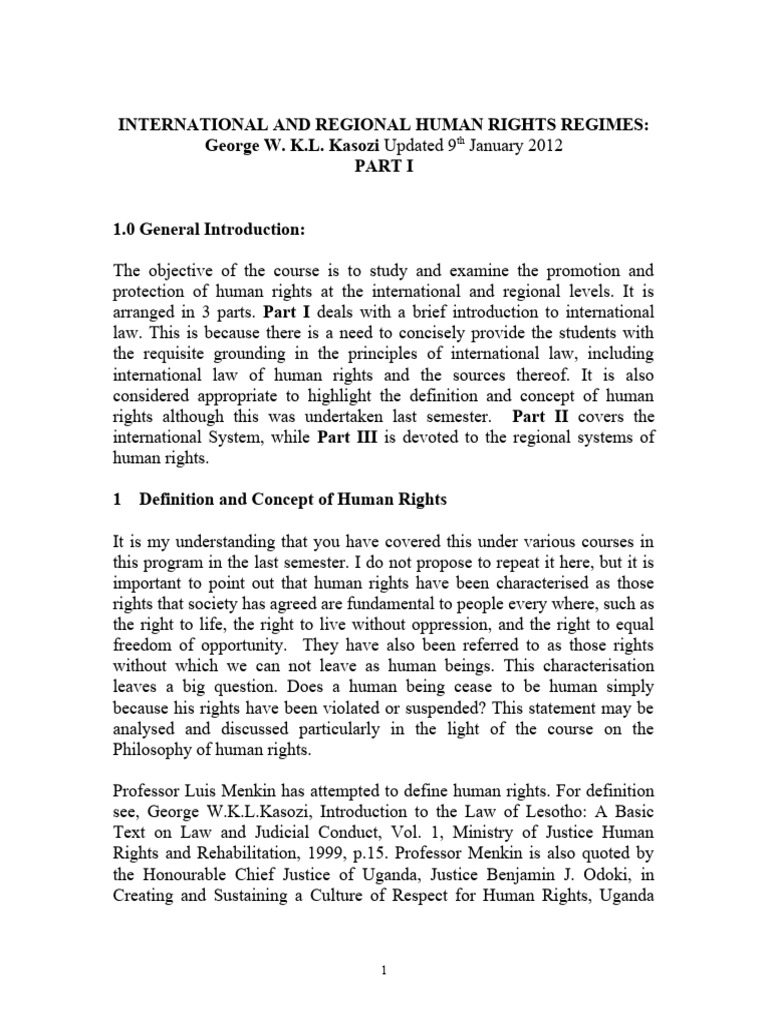 Human Rights in International Law | PDF