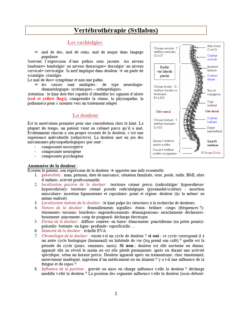 Vertébro Syllabus | PDF