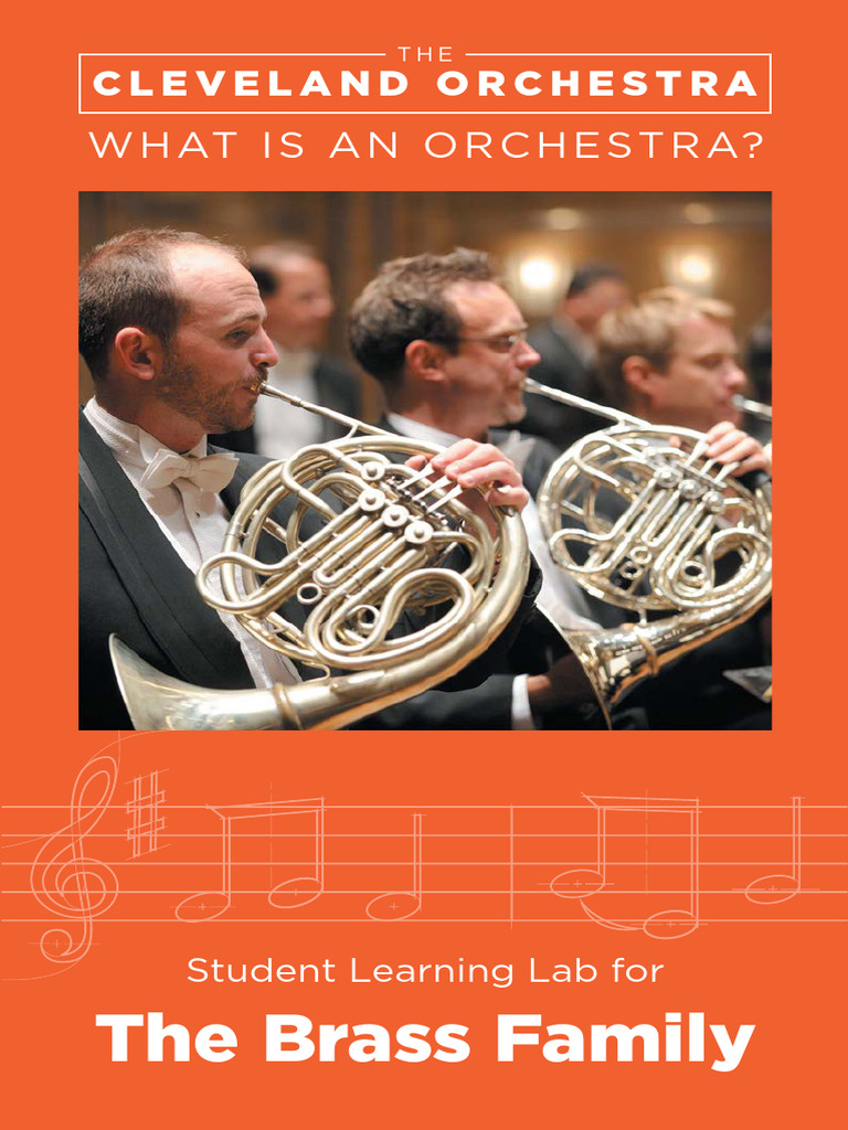 What Is An Orchestra Brass Family PDF