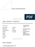 Almond Varieties and Rootstocks