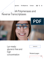 Roche_DNAPolymerase