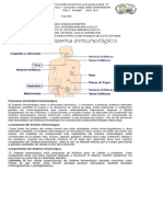 Biologia Ciclo 3 y 4