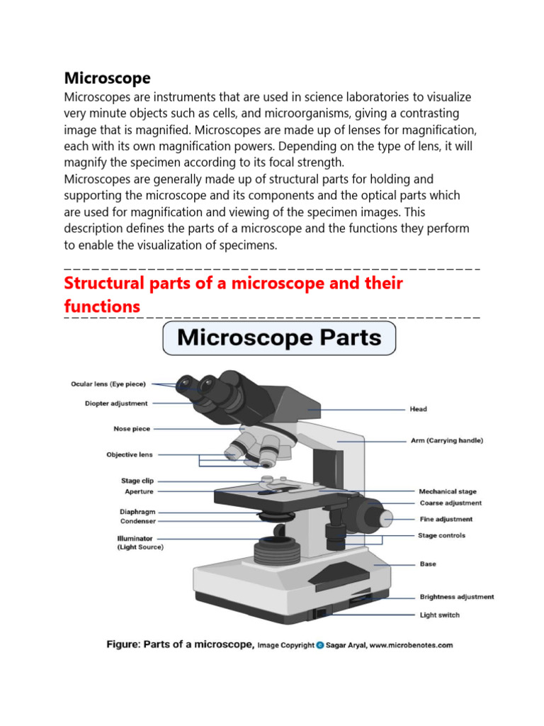 Microscope | PDF