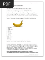 Kertas Kerja Tanaman Pisang Pdf