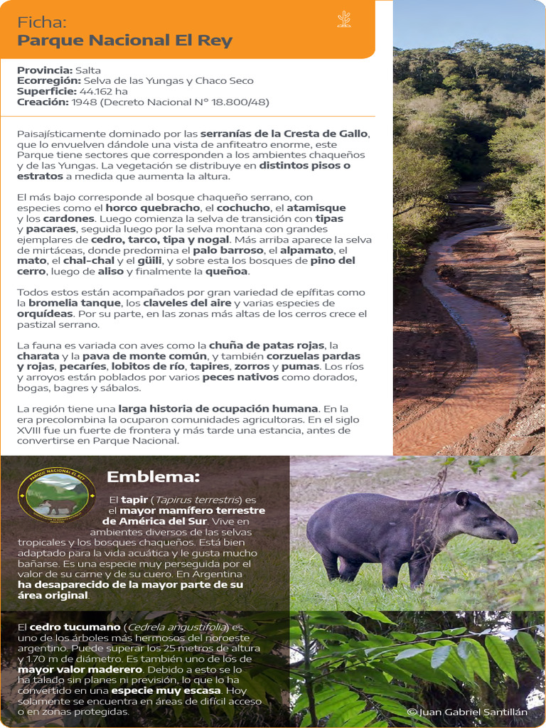 Parque Nacional El Rey: Biodiversidad y Historia | PDF