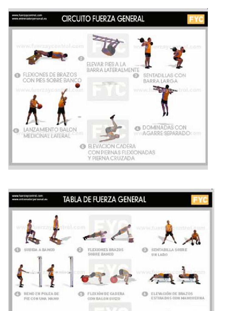 Ejercicios Circuitos En Educacion Fisica Pdf