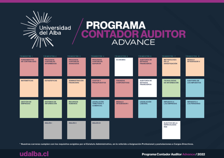 Programa Contador Auditor 2022 | PDF