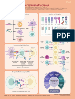 Snapshot Cancer Immunotherapy 1681565886