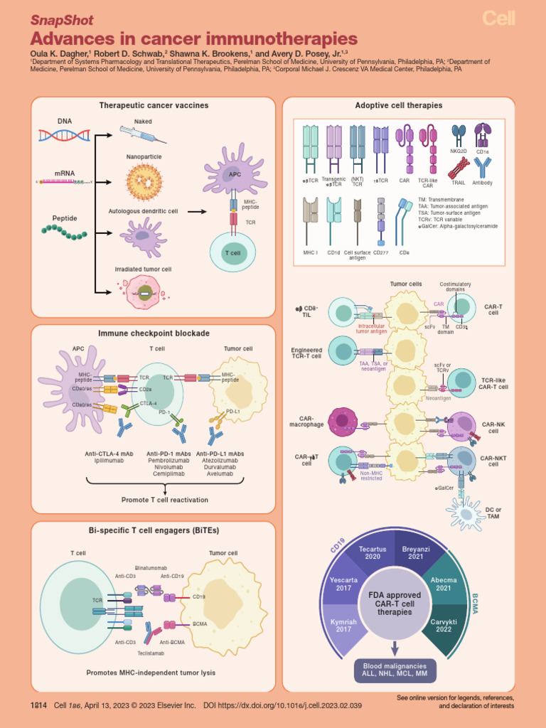 Snapshot Cancer Immunotherapy 1681565886 PDF Antigen T Cell