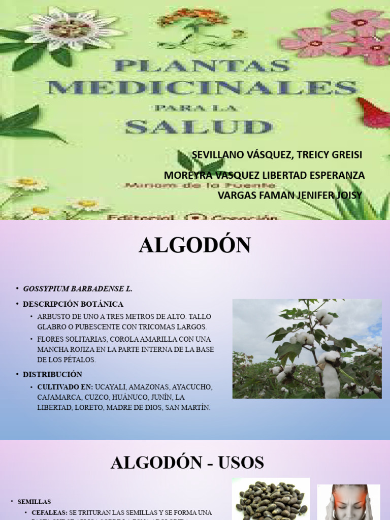 Plantas Medicinales Pdf