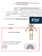 Reforzamiento El Cuerpo Humano