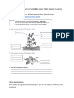 Actividades Fotosintesis