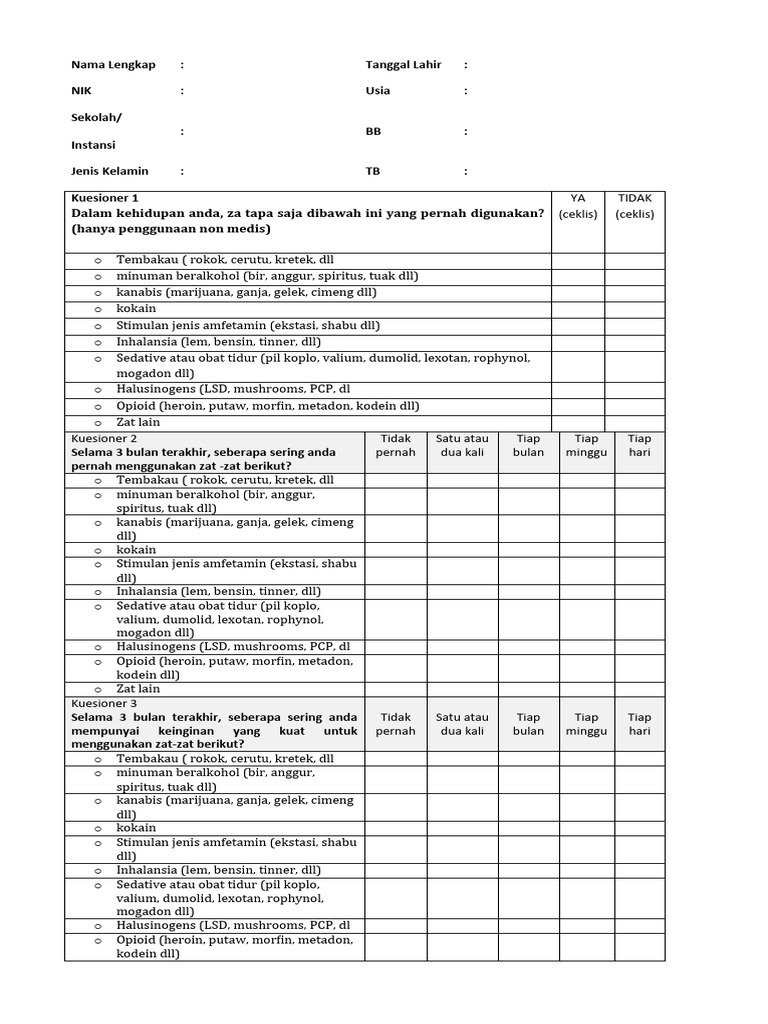 Kuesioner Assist | PDF