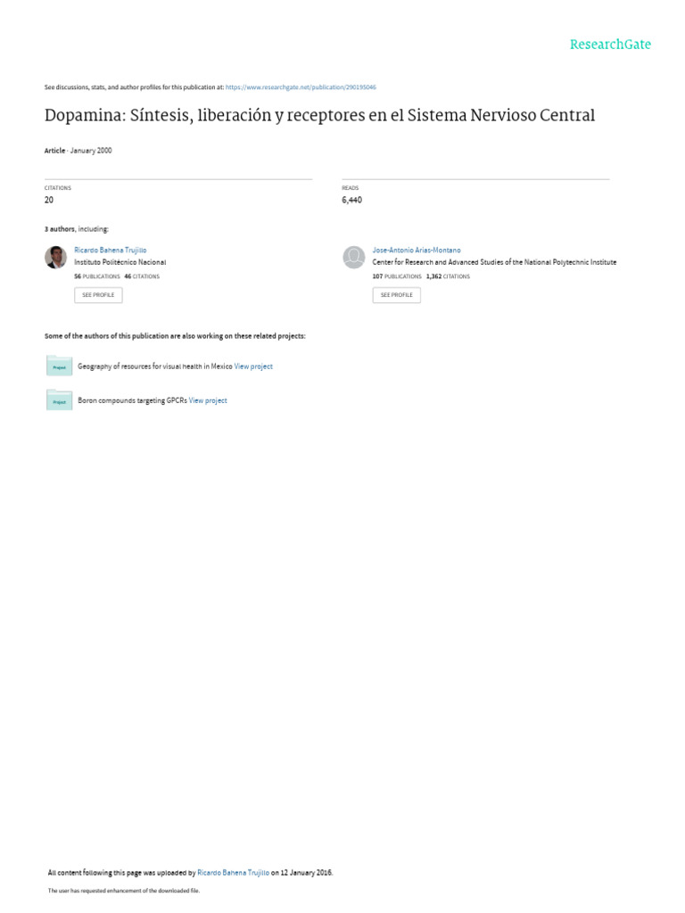 Dopamina: Síntesis y Receptores SNC | PDF | Sinapsis | Dopamina