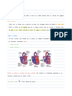 T7 - Fisiología Cardiaca