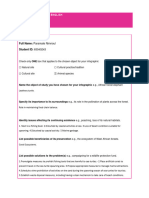 Collegiate English Infographic Outline 1