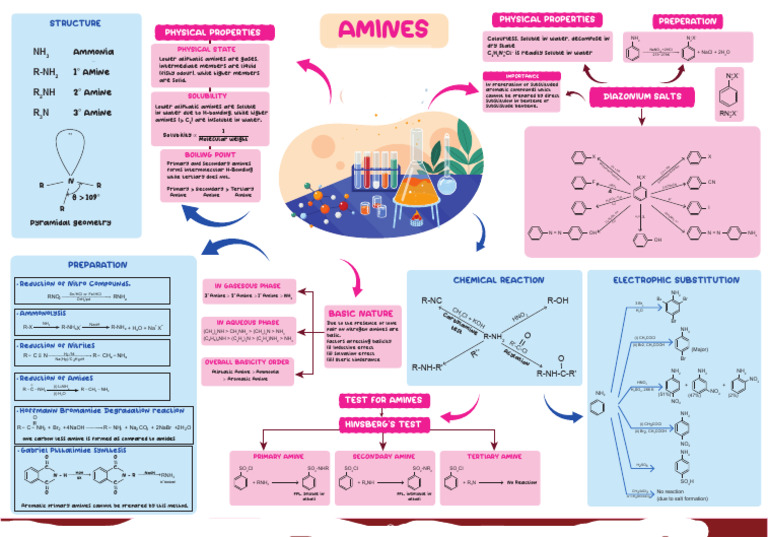 What Are Primary Amines Class 12