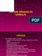 2.13 Sistem Organa Za Varenje 23